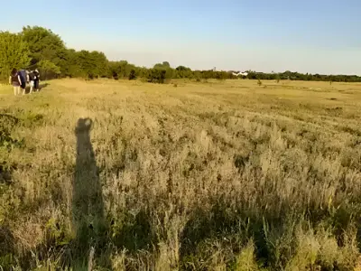 Teren de vanzare Sector 4 Bucuresti plat cu iarba inalta